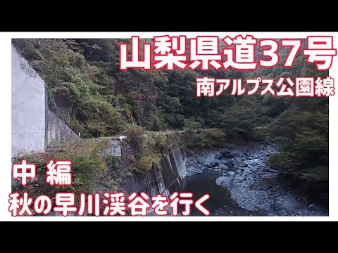 【ドライブ動画】山梨県道37号 南アルプス公園線　中編 秋の早川渓谷を行く　