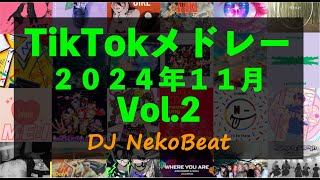 【TikTokメドレー】2024年11月にSNSで流行した最新ヒット曲 Vol.2 【JPOP/KPOP/EDM DJ MIX】