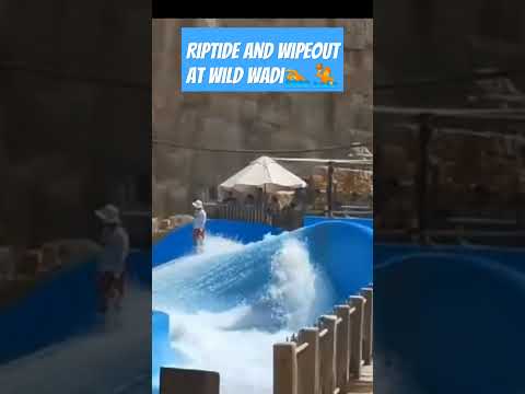 Mini Surfing !! #wildwadi #wildwaters #wildwadiwaterpark #swim #swimming #waterpark #shortsfeed