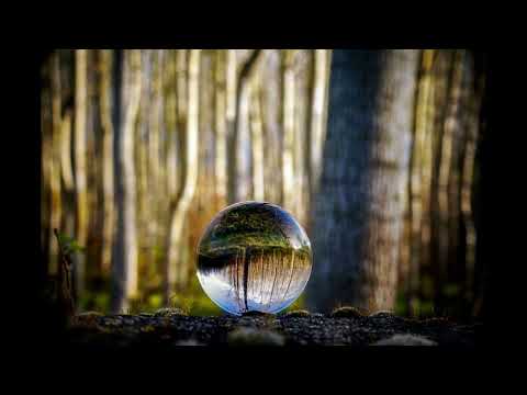 Music to Sleep and Stress Relief | Deep Sleep Music | Zoho Music | #relaxingmusic #relaxingmusics