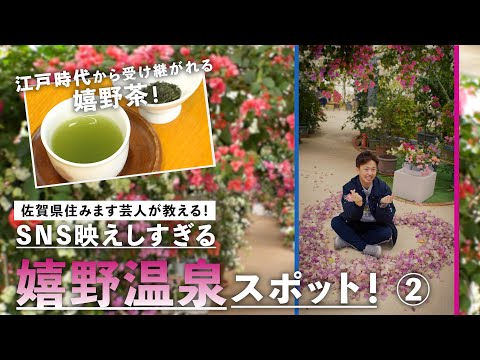 【映えすぎ】嬉野で見つけた「癒しの花のトンネル」！嬉野旅編②