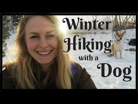 A Guide to Winter Hiking with a Dog | InRuffCompany.com