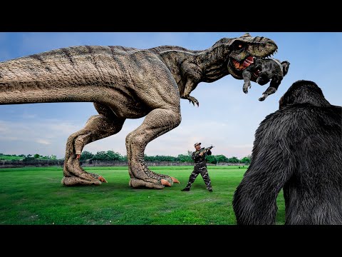 King Kong VS Tyrannosaurus Rex : Who Is The King Of Monster? | Jurassic Park VS The New Empire #2024