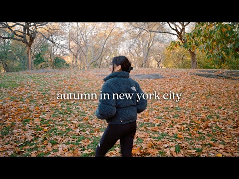 nyc diaries | morning routine, fall in central park, try on haul 🍂