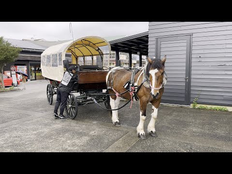 搭乘高速巴士前往由布院-1 |20240430