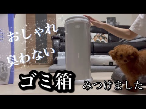 臭わない！おしゃれ！ゴミ箱購入しました【トイプードル多頭飼い】