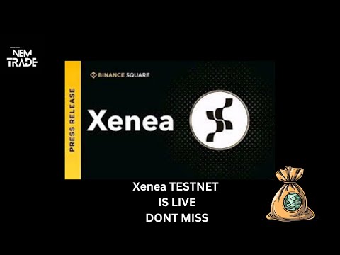 Xenea Testnet Airdrop Guide Explained Don’t Miss