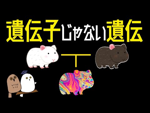 【ゆっくり解説】親の経験が子の遺伝情報を変える！？：エピジェネティクス【 科学 / 進化論 / 遺伝子 】