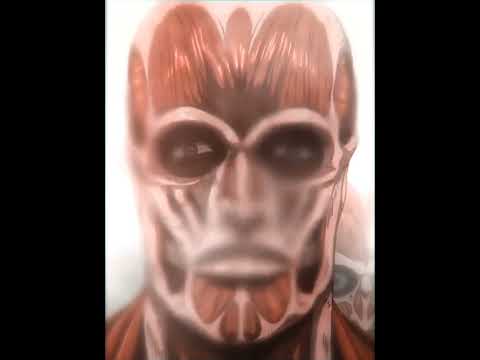 Attack on titan " Down fall of Humanity " – Attack on titan edit