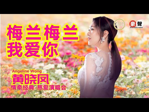 Angeline黄晓凤《梅兰梅兰我爱你》【情牵经典-慈爱演唱会】(Live) Official Music Video