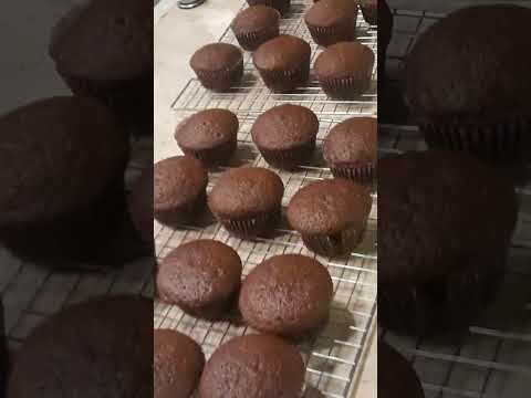 Chocolate Cupcakes