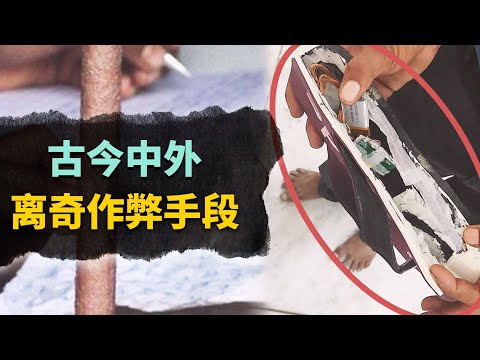 用老鼠須寫字打小抄？古今中外離譜的考試作弊手法！有這功夫不如好好學習啊【叮叮貓不咬人】