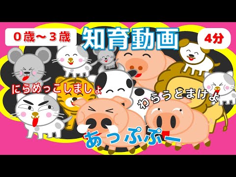 【０歳から３歳向け】【赤ちゃんが喜ぶ・幼児向け】にらめっこしましょ！どうぶつ アニメ /音を楽しむ/知育アニメ【全４分】赤ちゃん喜ぶ・泣き止む・笑う  おススメ  ねずみ・ねこ・ぶた