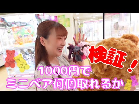 【UFOキャッチャー】ミニベア1000円で何個取れる？【検証】