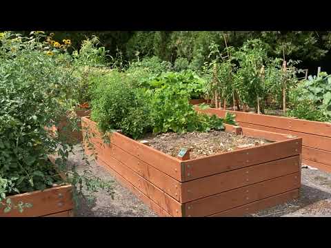 Nice raised beds at community garden near Portland, Oregon