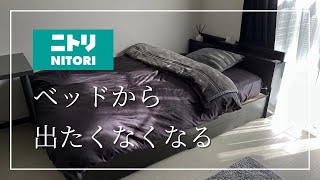 ベッドから出たくなくなる毛布と掛け布団【ニトリ】