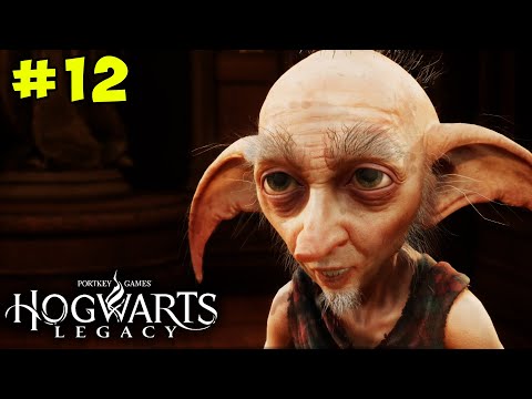 The Room of Requirement Knew What I Needed | Hogwarts Legacy | Let's Play Episode 12