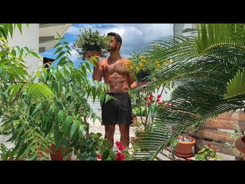 Men with Plants