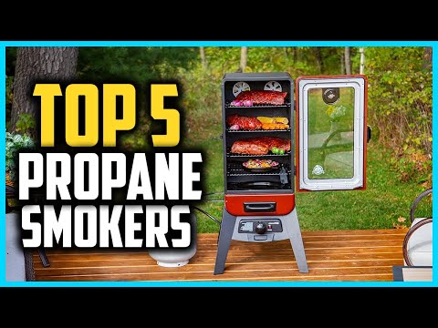 Top 5 Best Propane Smokers in 2024