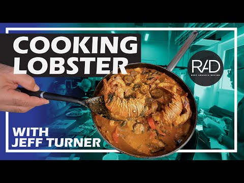 LOBSTER FRIDAY WITH CEO CHEF JEFF TURNER | FRESH SEAFOOD FEAST AT REEF AQUARIA DESIGN