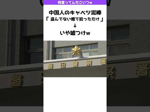 【こいつ何言ってんだw】現行犯逮捕された中国人「私はやってない」