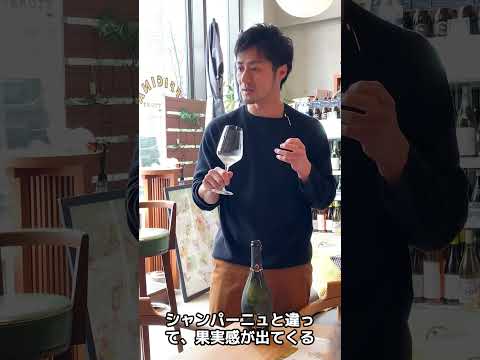 Vino Hayashi井手の1分解説｜casanova　#shorts