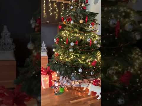 OUR CHRISTMAS TREE DECORATION IN GERMANY #shorts #ytshorts