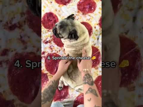 How to give your dog a PIZZA massage!! 🍕👨‍🍳