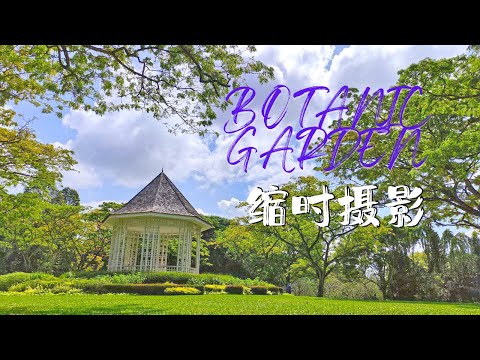 SG BOTANIC GARDEN植物园缩时运动摄影Timelapse | Pocket 2 | Ahmiao Tv