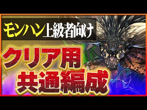 【モンハン上級編】上級編共通編成！ハンターの進化素材を集めよう！【パズドラ】