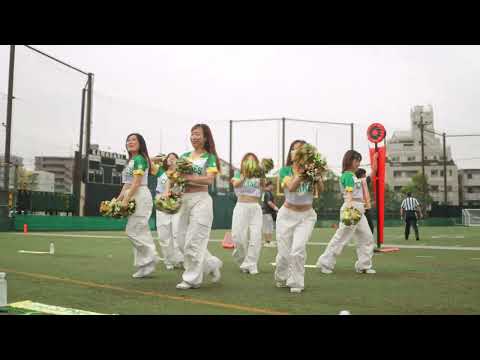 2024/06 AFC Cranes Cheerleaders