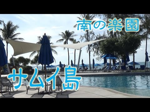 【サムイ旅行】南の楽園！サムイ空港ってこんな所（何度でも訪れたいサムイ島）