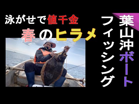 【春ヒラメ】葉山沖ボートでアジ泳がせFishing（三浦半島☓相模湾）