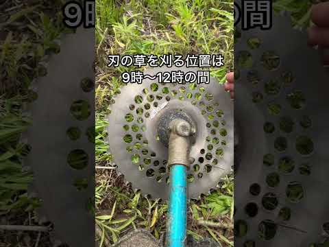 【プロが教える】草刈りが上手くなるコツ　#雑草対策 #ガーデニング #howto