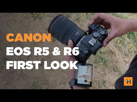 Canon EOS R5 & R6 First Look