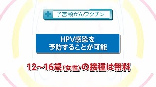 【知りたい！がん検診】Vol. 597回「子宮頸がんの特徴」