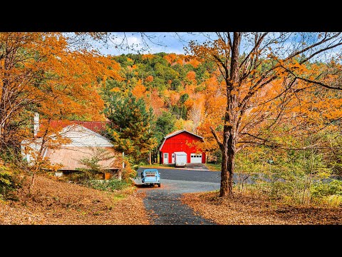 The Beauty of Sweet September