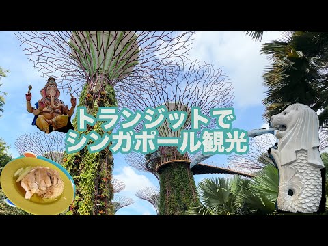 【Baliひとり旅】ep.4 シンガポール乗り継ぎ時間で行きたいとこ全部行く！