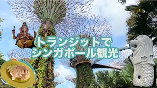 【Baliひとり旅】ep.4 シンガポール乗り継ぎ時間で行きたいとこ全部行く！