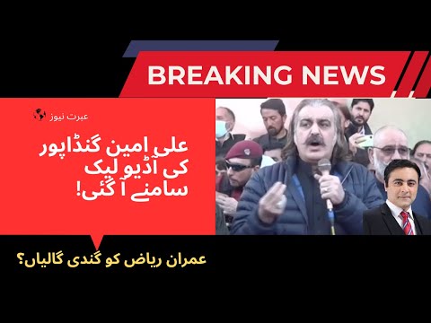 Ali Amin Gandapur Audio Leak! | Terrible Words Used For Imran Riaz | Mansoor Ali Khan Revelations