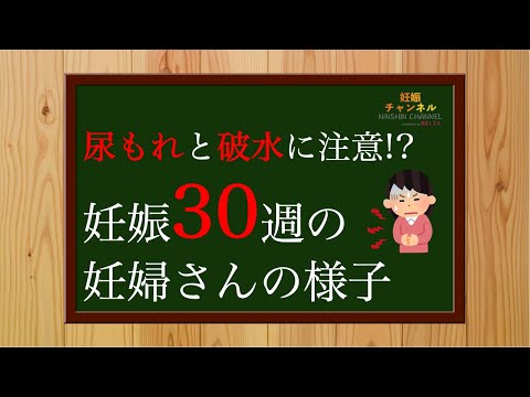 【妊娠30週】尿もれに注意！？30週妊婦さんの様子とおすすめ過ごし方