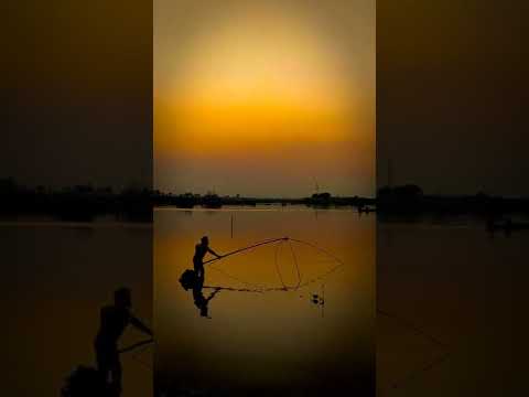 জীবন ও প্রকৃতি 🌿