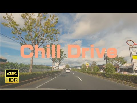 #030 和歌山県岩出市〜和歌山市【チルドライブ】