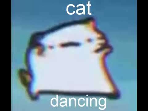 cat dancing