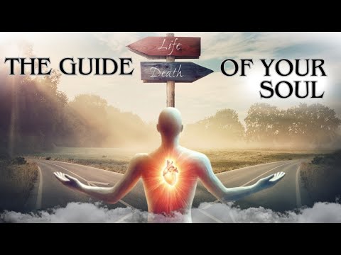 Do You Want To Know If Your SOUL Will Be GUIDED 🌈 [Angel Messages]