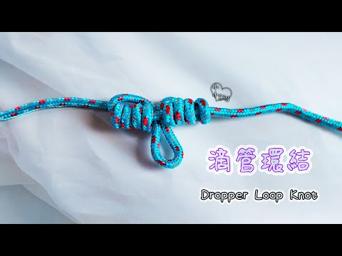 Dropper Loop Knot - 滴管環結 - 繩結 - 結び目 - 매듭