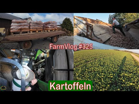 Farmvlog #325:  Kartoffelernte | Rapsbestand