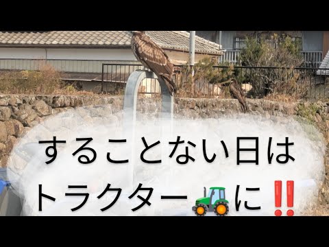 【トラクター】🚜作業（じゃがいもとは別の場所）することない日は常にトラクター