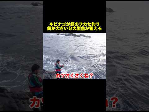 大物を狙う沖縄のスーパーフカセゲーム#釣り#沖縄#磯釣り