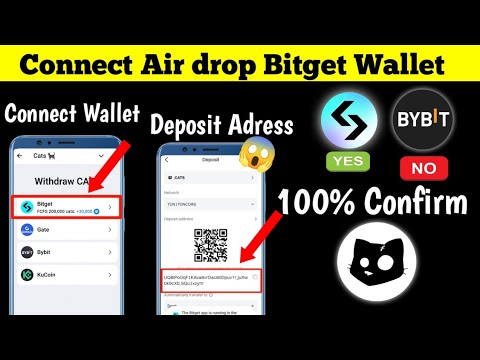 How To Connect Cats Bitget Wallet | Cats Bitget Wallet Connect | Cats Airdrop Withdrawal Bitget